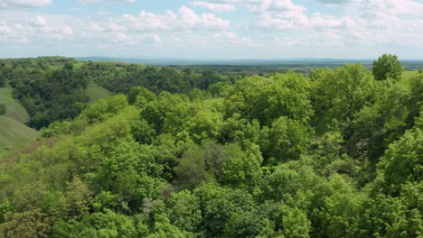 Schönheit-In-Der-Natur