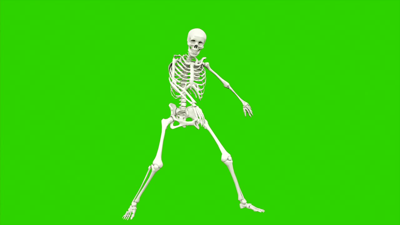 danza dello scheletro. animazione a loop senza soluzione di continuità sullo schermo verde.