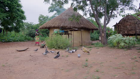 daily life in an african village
