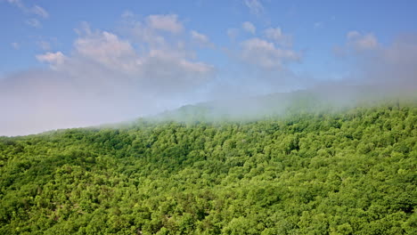 aerial drone view of dense mist over the smoky mountains, north carolina