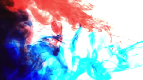 ink cloud overlay. color blast. blue , red smoke motion on white background for video editing.