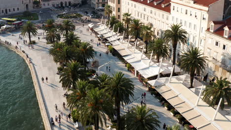 popular riva with palm trees and restaurants along waterfront buildings in split, croatia