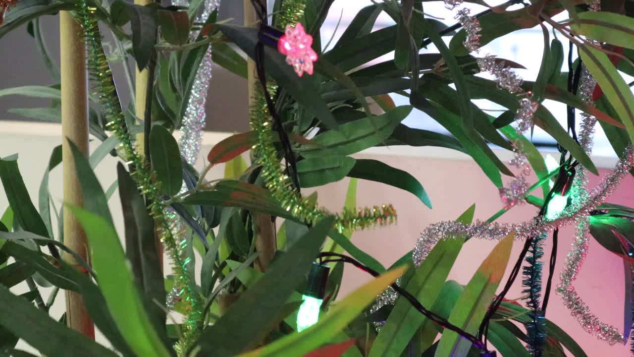 화환과 크리스마스 조명으로 장식된 녹색 잎이 있는 실내 식물