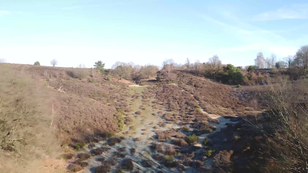 국립공원에 나무가 있는 자연 밭의 드론 샷