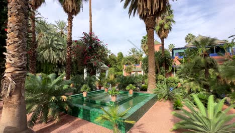 beautiful botanical garden with palm trees and water feature in sun