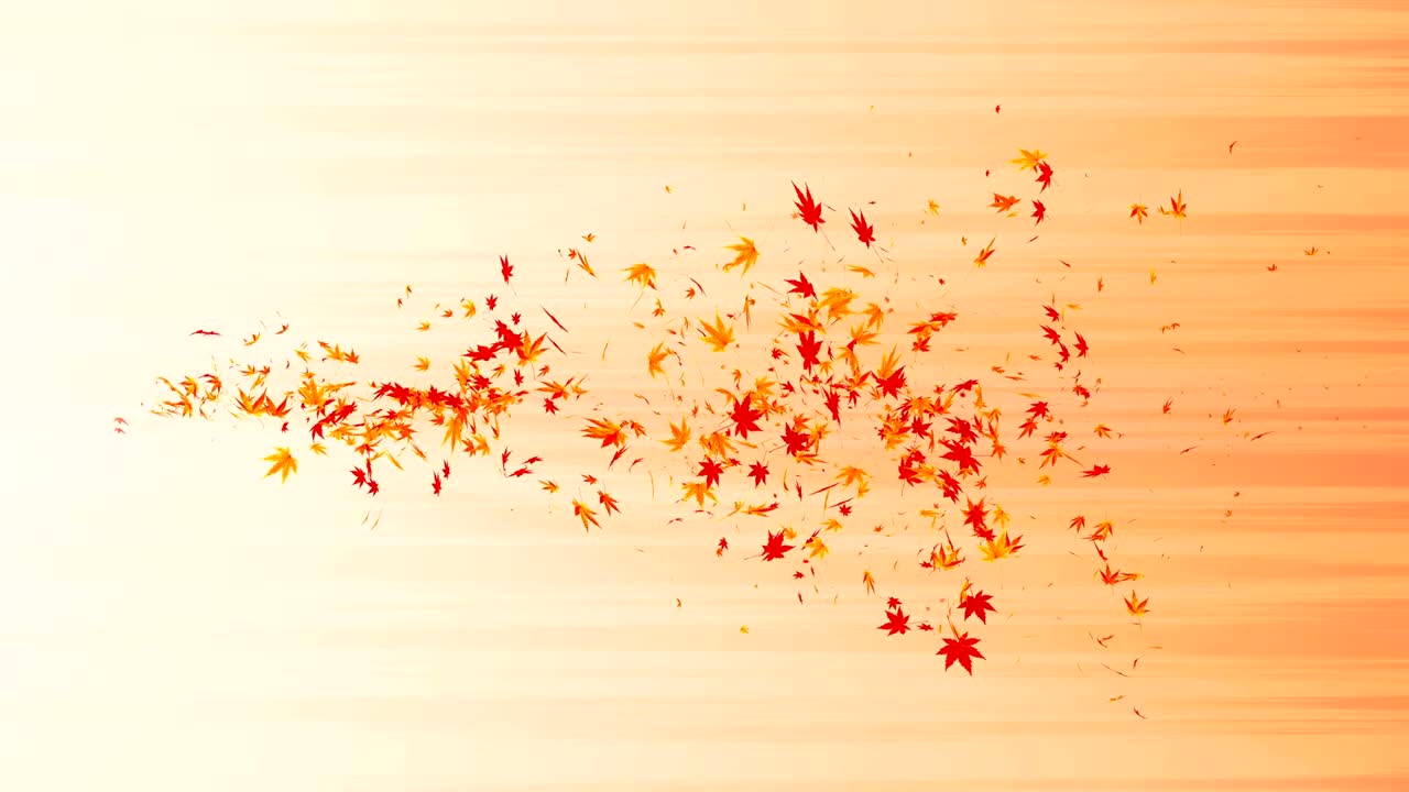 다채로운 메이플과 잎에서 나온 소용돌이, 가을 잎의 나선형 반이는 입자, 춤추는 잎, 다채로운 자연 터널 루프 애니메이션.