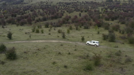 White-jeep-driving-on-a-country-road-in-a-bushy-field,Czechia,aerial