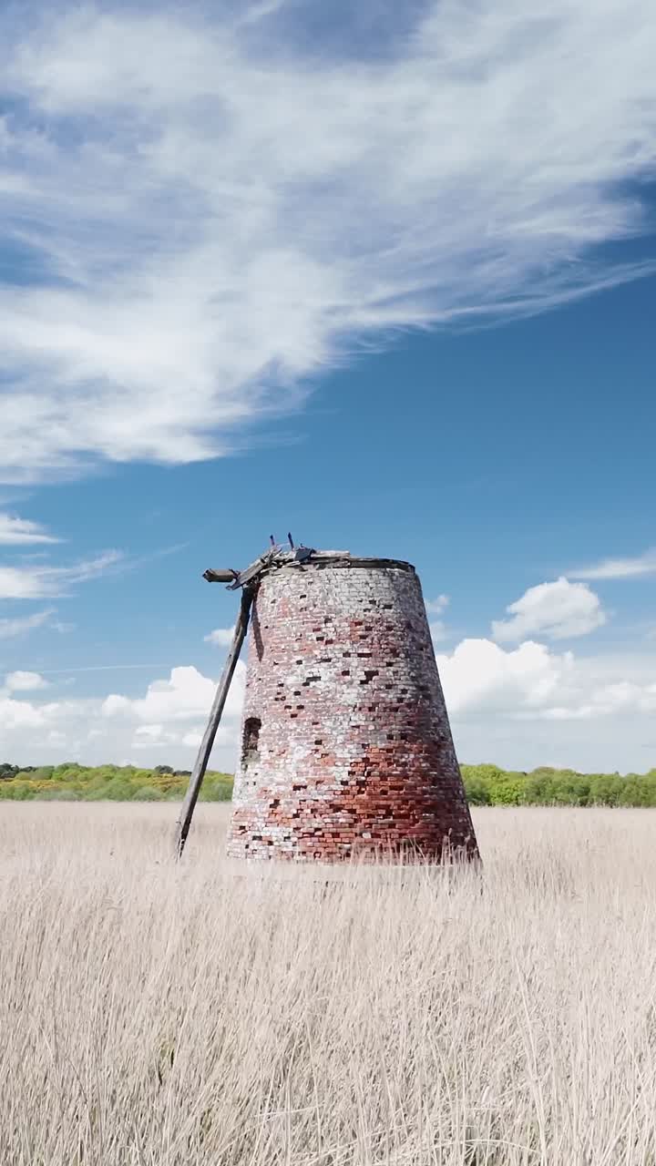 Rustic windmill pump in tall grassy wetland marshes VERTICAL shot