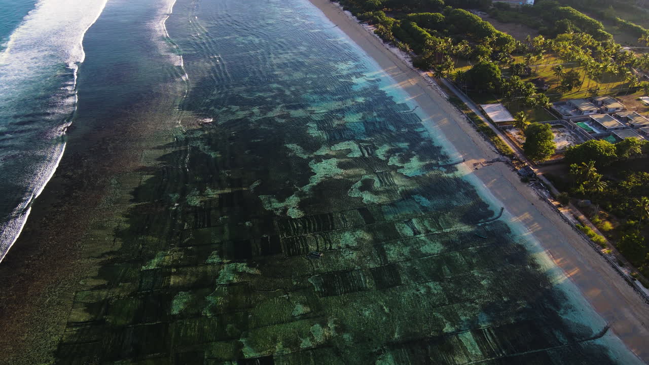 Aerial View Of Seaweed Plantation Underwater At Nusa Tenggara In Indonesia. top-down shot
