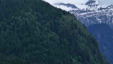 Almost-touching-heaven,-alpine-mountain-range-and-beautiful-green-forest