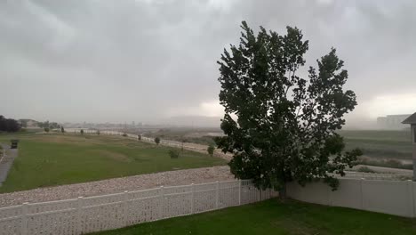 Tormenta-De-Verano-Ventosa-Que-Sopla-Un-árbol-En-Un-Patio-Suburbano