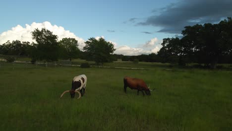 drone down on texas longhorns