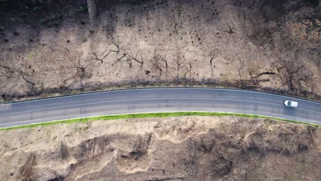 intact road leads through destroyed remains of wild forest fire, top down aerial