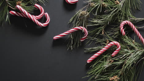 video of christmas candy canes and fir tree branches and copy space on black background