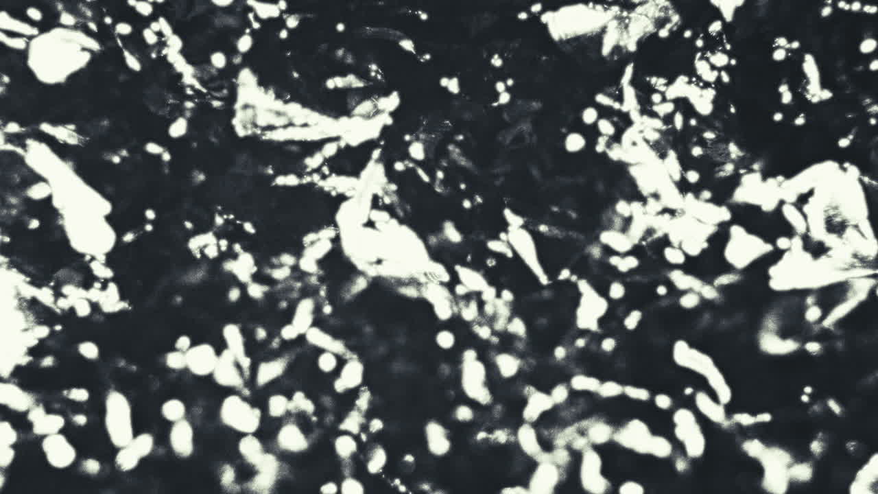 Old footage of weird science experiment - alien lifeform