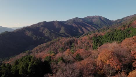 Paisaje-Panorámico-Aéreo-Del-Bosque-Otoñal-Con-Horizonte-De-Luz-Diurna-En-Hyogo-Japón-Cámara-Lenta-Amplio-Establecimiento