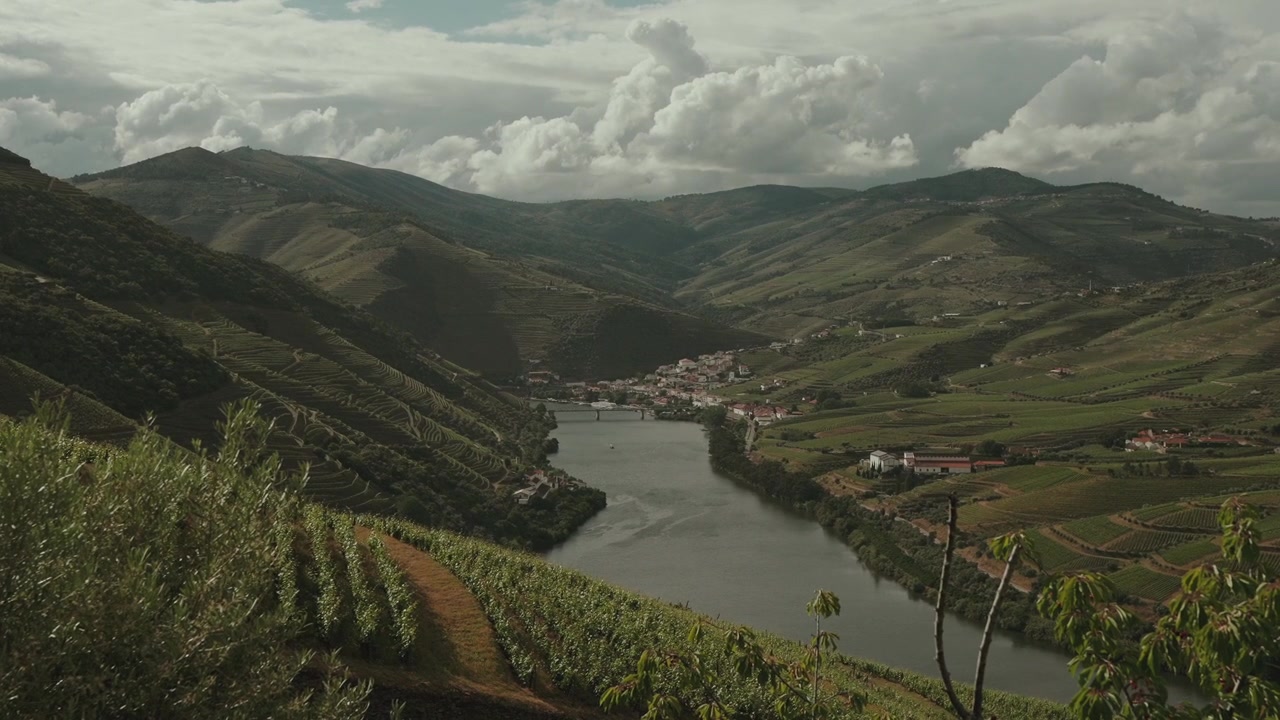 Il ponte sul fiume Douro si snoda attraverso vigneti a terrazze e dolci colline a Pinhao.
