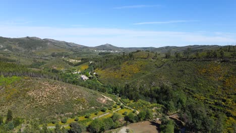 aerial view of beautiful mountains filled with green vegetation and trees on a sunny summer day