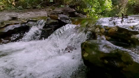 tropical aquatic view, fast moving water motion, slow motion scenery