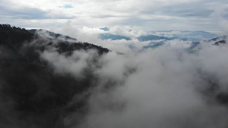 drone video flying over sea of clouds and mountains , deep in pine wild forest mount gramos northern greece