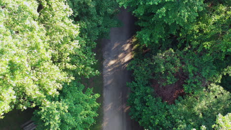 Erheben-Sie-Sich-An-Einem-Sonnigen-Tag-In-Einem-Park-Bei-Sonnenaufgang-Mit-Einem-Kranschuss-Von-Einem-Pfad-Knapp-über-Dem-Boden-Langsam-Bis-über-Die-Grünen-Baumkronen