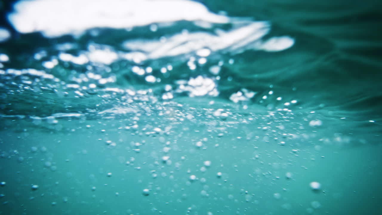 A beautiful shark silhouette glides against soft marine light