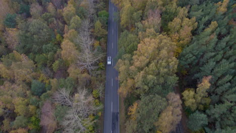 Vista-Reveladora-De-Drones-Aéreos,-Camino-A-Través-Del-Bosque-Otoñal