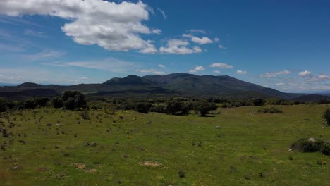 Ascending-flight-with-a-drone-in-a-green-meadow-in-spring-with-oak-trees-and-broom-in-yellow-flower,-stone-walls-of-farms-and-in-the-background-Mount-Pielago-or-Venus-and-a-blue-sky-in-Toledo,-Spain