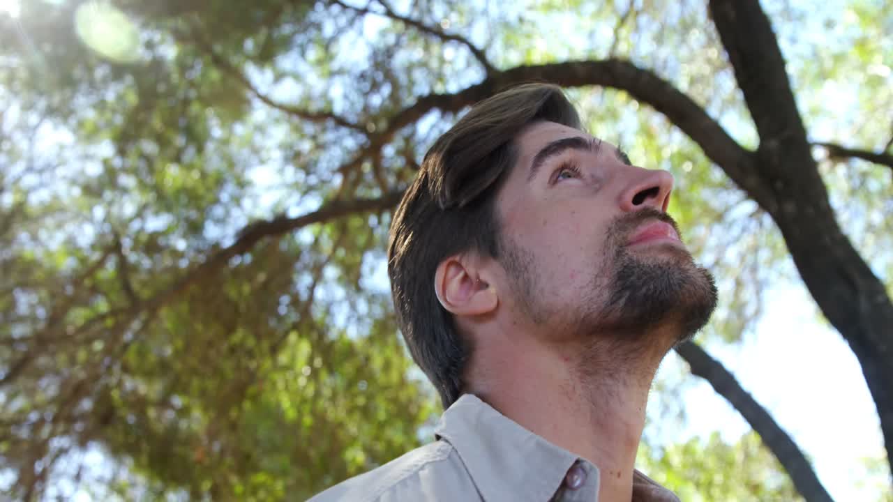 hombre mirando alrededor en el bosque en un día soleado 4k