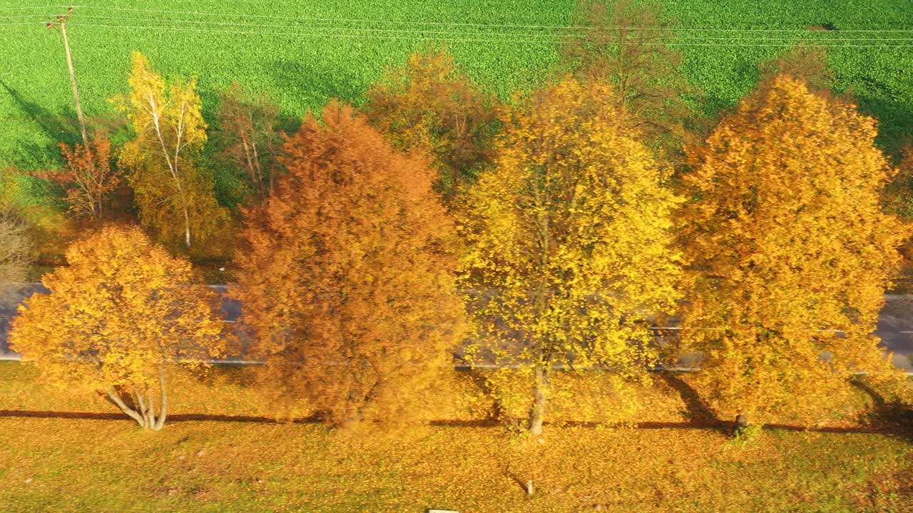 시골에서 일몰에 아름다운 가을 숲에서 도로의 공중보기