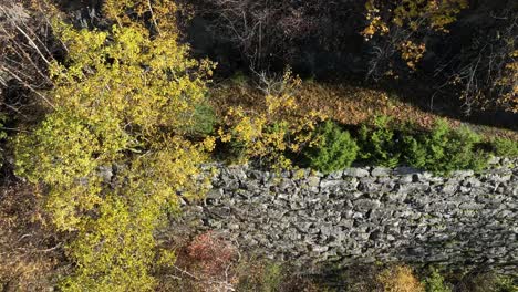 Nature-reclaiming-decommissioned-railway-at-Bergensbanen-Stanghelle,-Aerial-looking-down-on-track