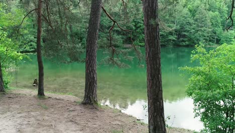 In-the-middle-of-the-forest-I-found-a-green-lake