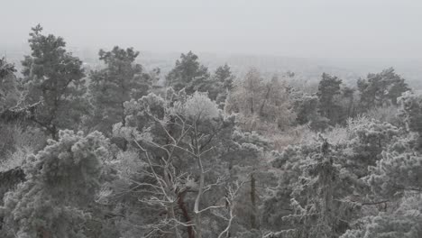 Winter-in-Poland,-Szczecin