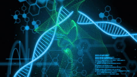 dna strands and molecular structures with data processing animation