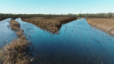 Humedales-En-El-Sendero-Acuático-Del-Lago-Cubierto-De-Hierba-En-El-área-De-Manejo-De-Vida-Silvestre-De-Bell-Slough,-Condado-De-Faulkner,-Arkansas