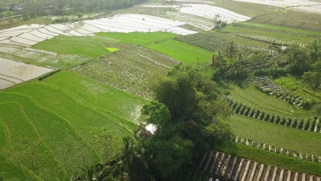 descending aerial view of over flooded rice fields during cloudy day after storm in indonesia