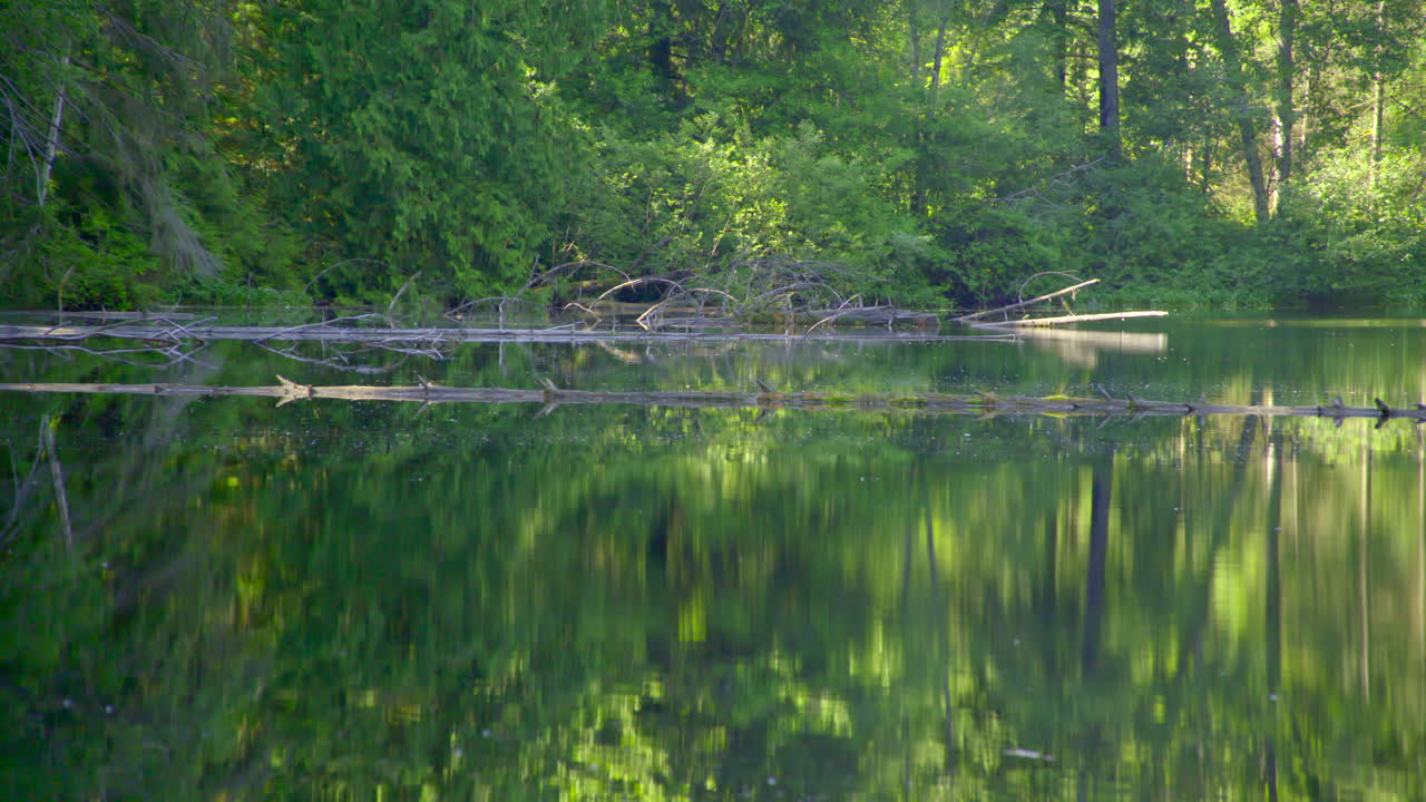 오후 정적 샷에서 잃어버린 호수