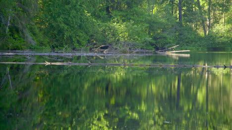 lost lake in the afternoon static shot