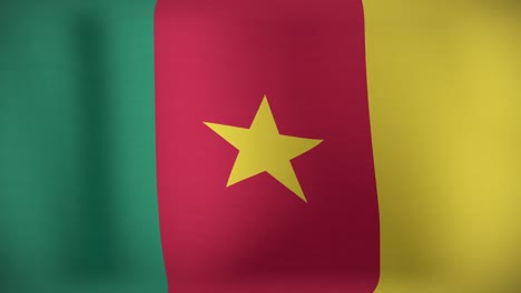 animation of moving flag of cameroon waving