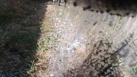 Ultra-Slow-Motion-Watering-Can-Pouring-Fresh-Cold-Water-Over-Hot-Grass