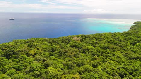 cinematic drone flight over forest in fiji with cruise ship in the background