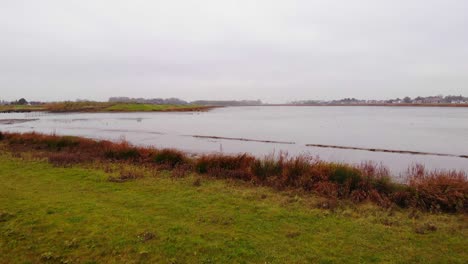 grassy landscape on serene lake with flying gulls in crezeepolder, ridderkerk, south holland, netherlands