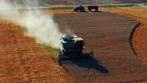 combine harvester gathering grain on a wheat field - aerial drone shot