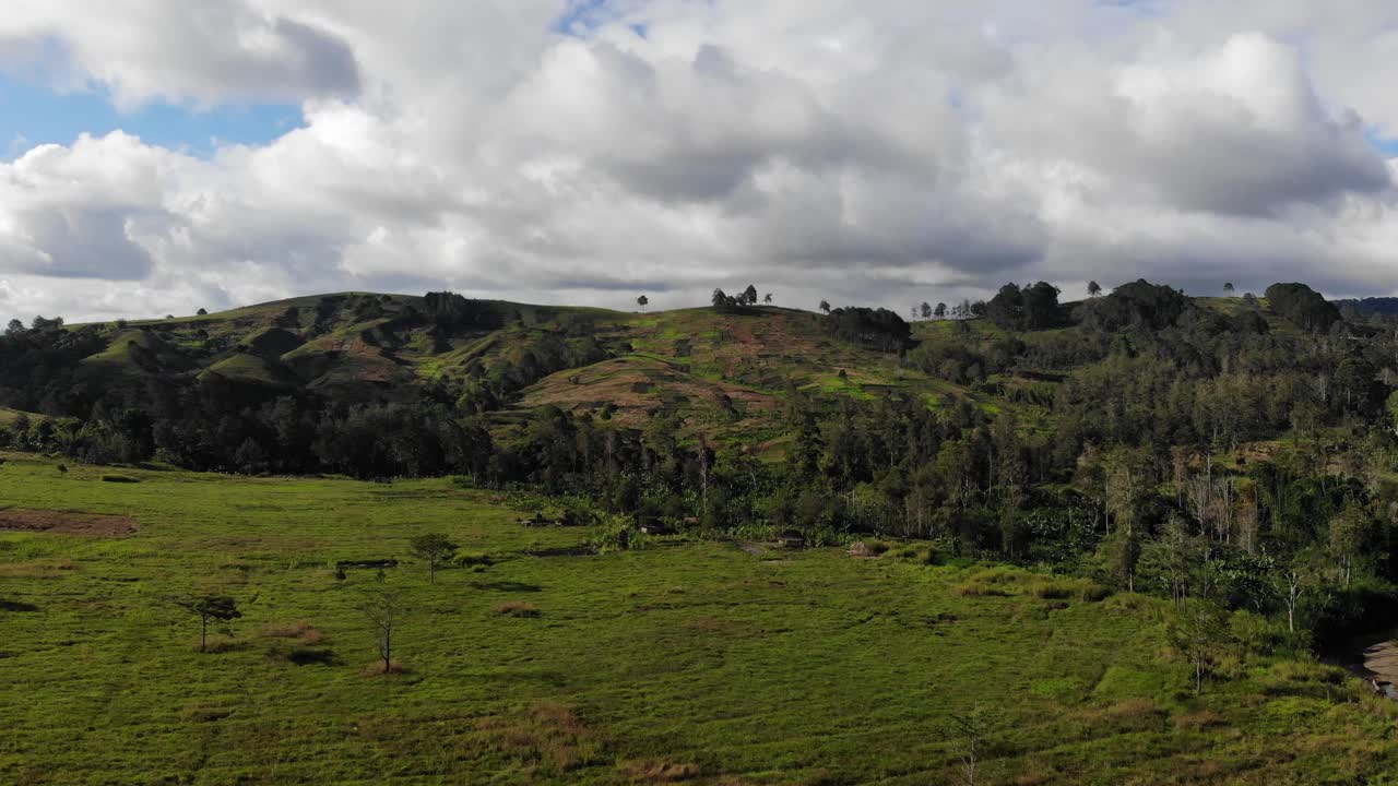 reversa aérea de exuberantes colinas verdes y casas tradicionales de la aldea, papúa nueva guinea