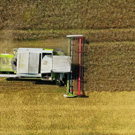 harvest fields with combine