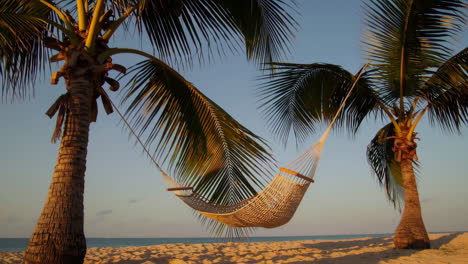 tropical beach hammock at sunrise