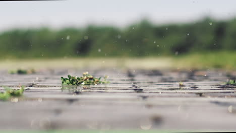 small rain water drops fall down and jump on paved road