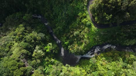 scenic calm river and waterfall cascades across tropical hawaiian jungle along road to hana