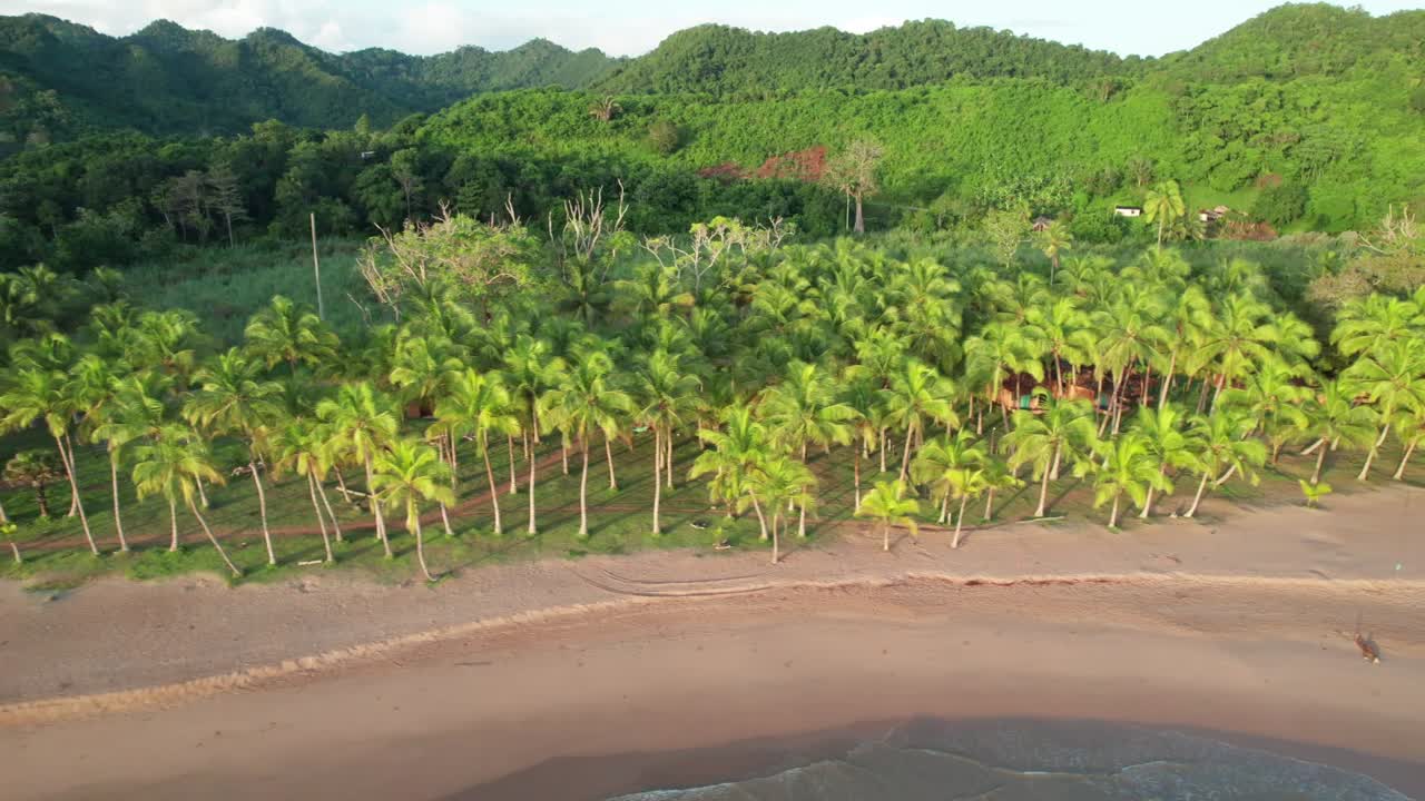 Aerial View of a Tropical Beach Resort with Bungalows and Palm Trees