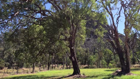 slow pan across serene, sunlit parkland with trees